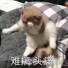 服清洁选它！不用水洗轻松告别污渍！j9九游真人游戏第一平台冬天羽绒(图2)