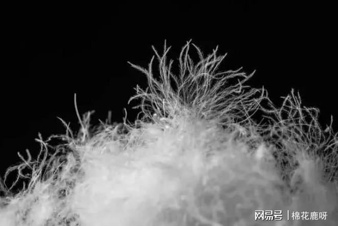 服清洁选它！不用水洗轻松告别污渍！j9九游真人游戏第一平台冬天羽绒
